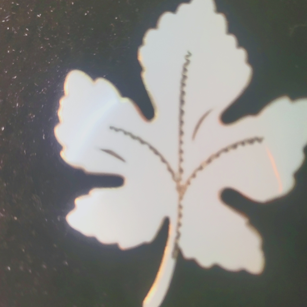 Elegant White Leaf Brooch